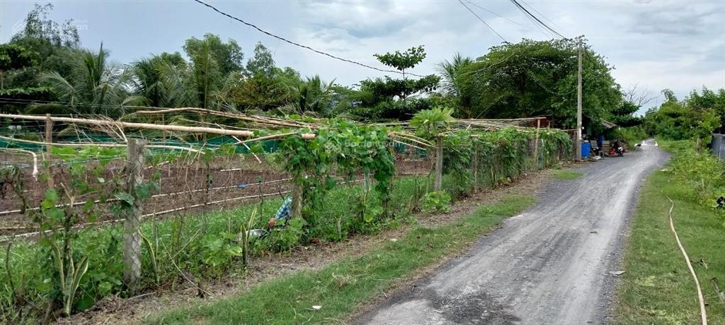 Đất mt kênh sáng a qh 9m bao gồm thổ cư + đất nn mỹ lộc tây ninh