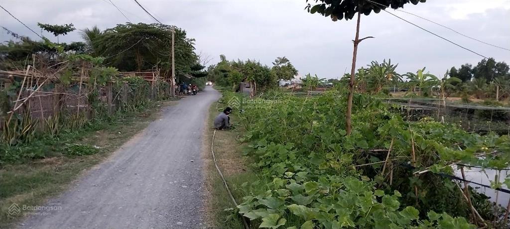 Đất mt kênh sáng a qh 9m bao gồm thổ cư + đất nn mỹ lộc tây ninh