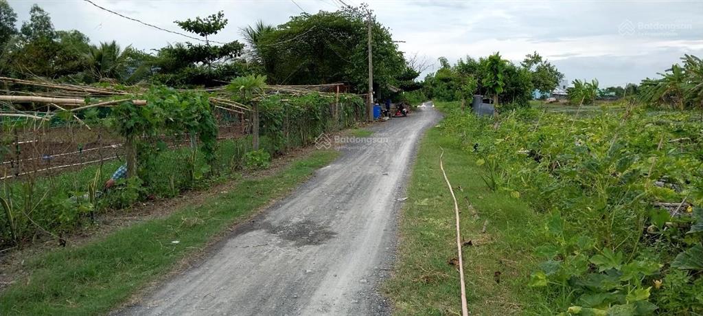 Đất mt kênh sáng a qh 9m bao gồm thổ cư + đất nn mỹ lộc tây ninh