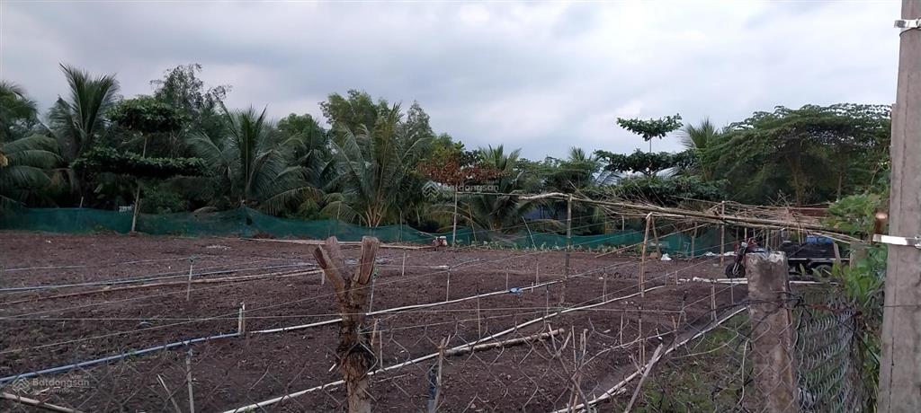 Đất mt kênh sáng a qh 9m bao gồm thổ cư + đất nn mỹ lộc tây ninh