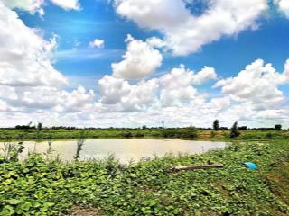 Bán 7 ha đất mặt tỉnh lộ 941 xã vĩnh hanh, huyện châu thành, an giang