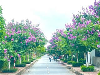 Cho thuê mặt bằng kinh doanh diện tích 110m2 tại đối diện trường tiểu học thạch đài