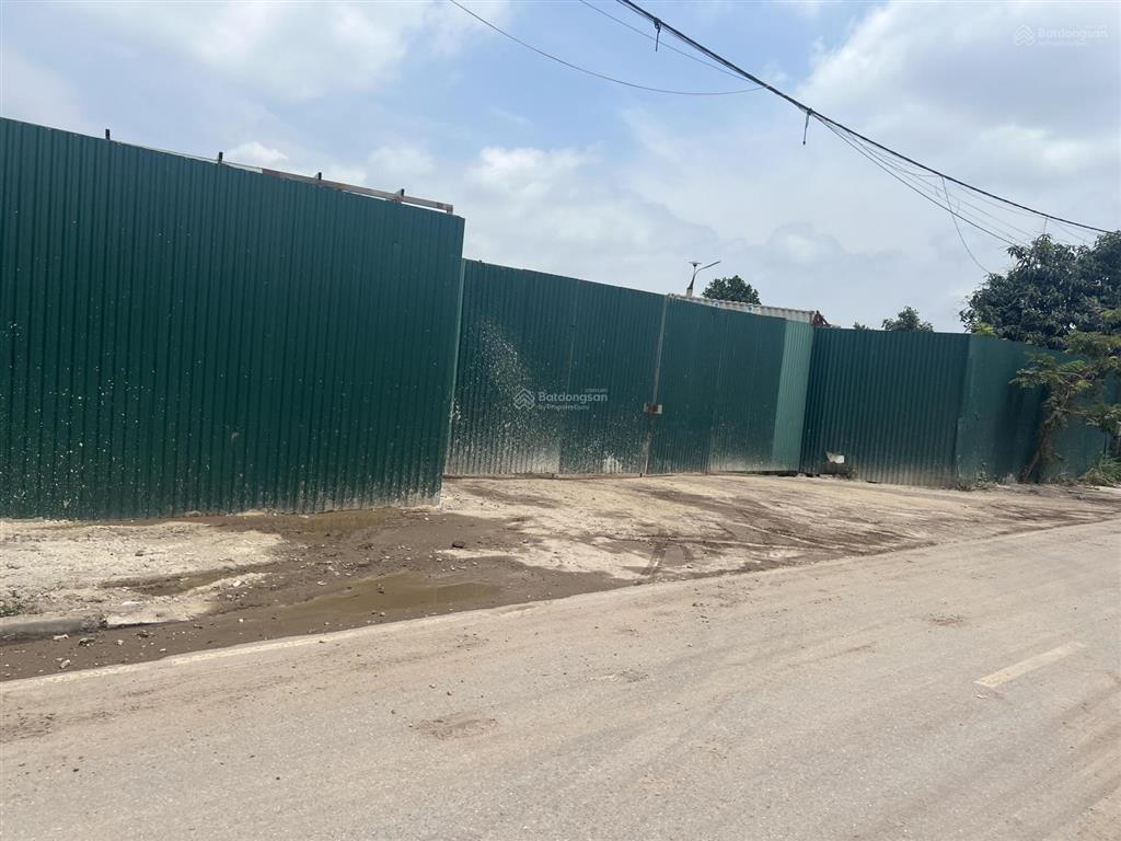 Xã nam phù cho thuê dài hạn bãi đất 2.000m2 đường nhựa xe container vào tận nơi, có điện 3 phase.