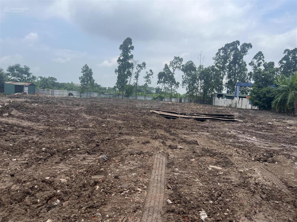 Xã nam phù cho thuê dài hạn bãi đất 2.000m2 đường nhựa xe container vào tận nơi, có điện 3 phase.