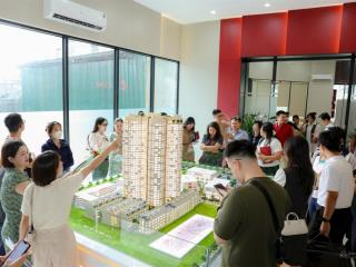 Tin đăng này chỉ dành cho ai quan tâm bảng hàng mua trực tiếp cđt tincom group