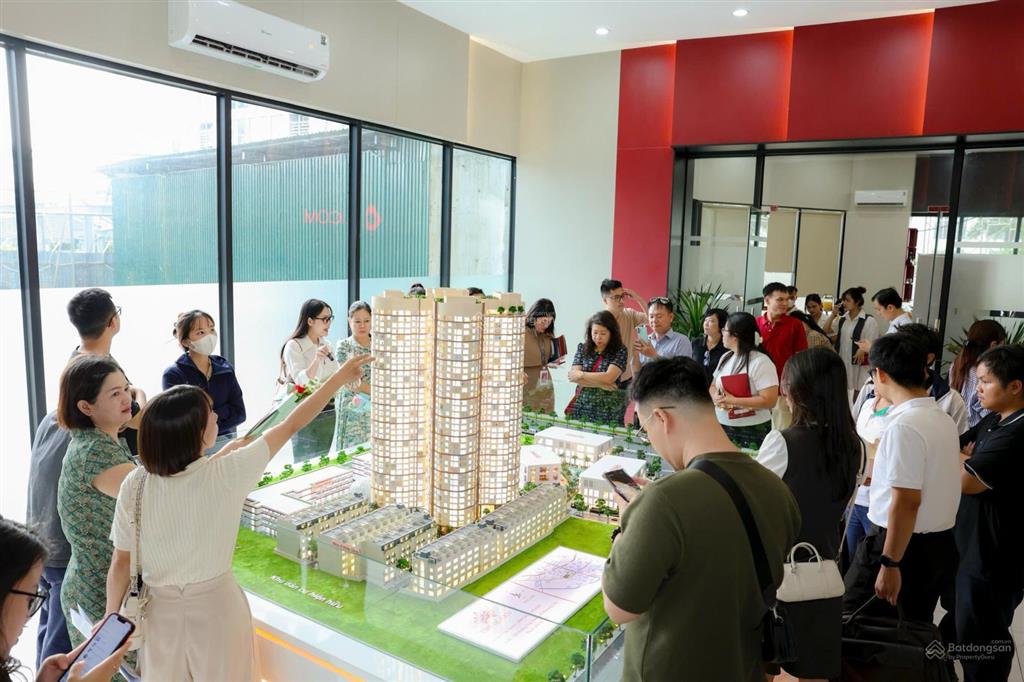 Tin đăng này chỉ dành cho ai quan tâm bảng hàng mua trực tiếp cđt tincom group