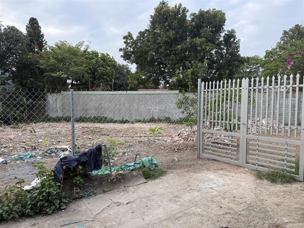 Cho thuê bán cây giống, hoa cảnh tại 167 hà huy giáp, 20 triệu, 500m2, uy tín, đẹp