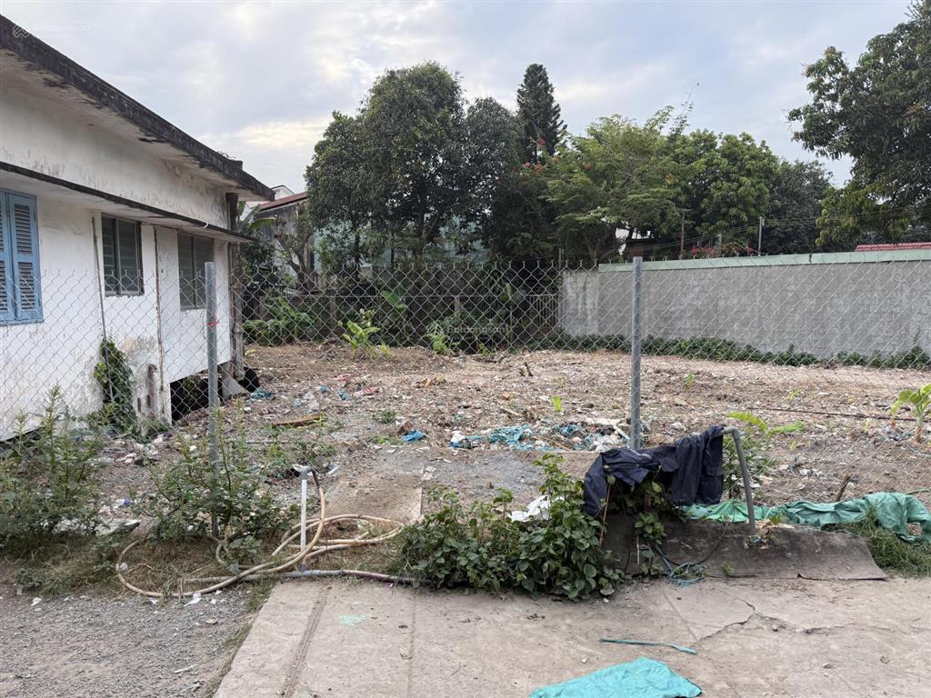 Cho thuê bán cây giống, hoa cảnh tại 167 hà huy giáp, 20 triệu, 500m2, uy tín, đẹp