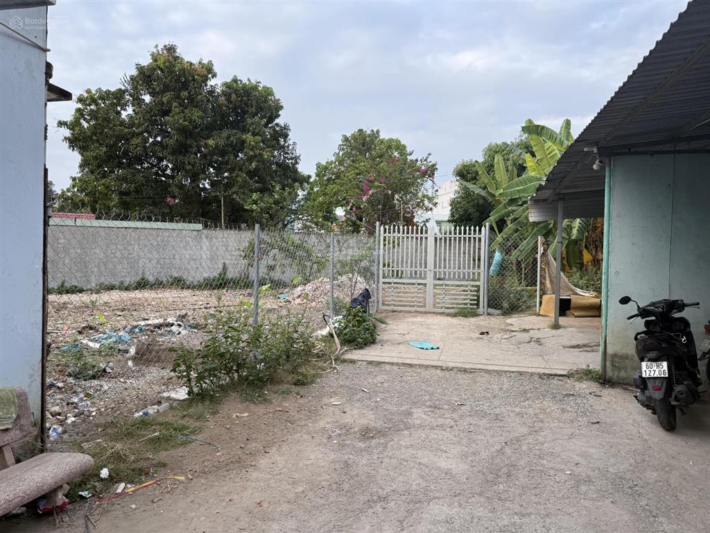 Cho thuê bán cây giống, hoa cảnh tại 167 hà huy giáp, 20 triệu, 500m2, uy tín, đẹp