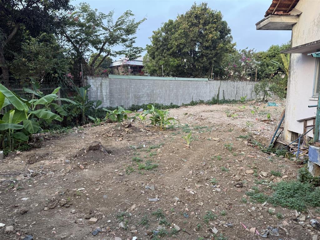 Cho thuê bán cây giống, hoa cảnh tại 167 hà huy giáp, 20 triệu, 500m2, uy tín, đẹp