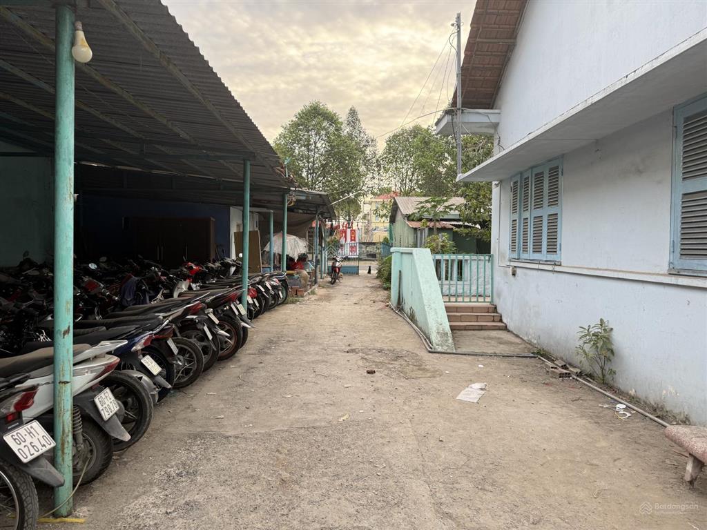 Cho thuê bán cây giống, hoa cảnh tại 167 hà huy giáp, 20 triệu, 500m2, uy tín, đẹp