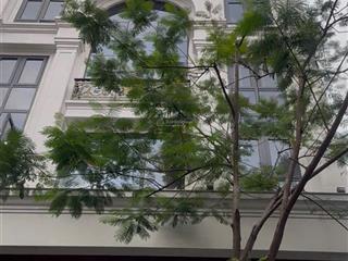 280m2  12m mặt tiền  nhà phố quảng khánh  hồ tây  vị trí vàng  vỉa hè  ô tô tránh  siêu hiếm