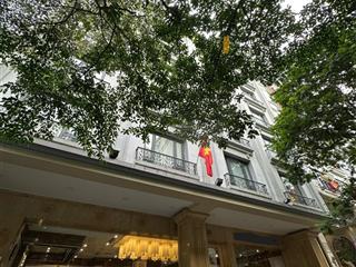 Bán tòa building mặt phố đào tấn  160m2  7m mặt tiền  6 tầng thang máy vỉa hè ô tô tránh 120 tỷ