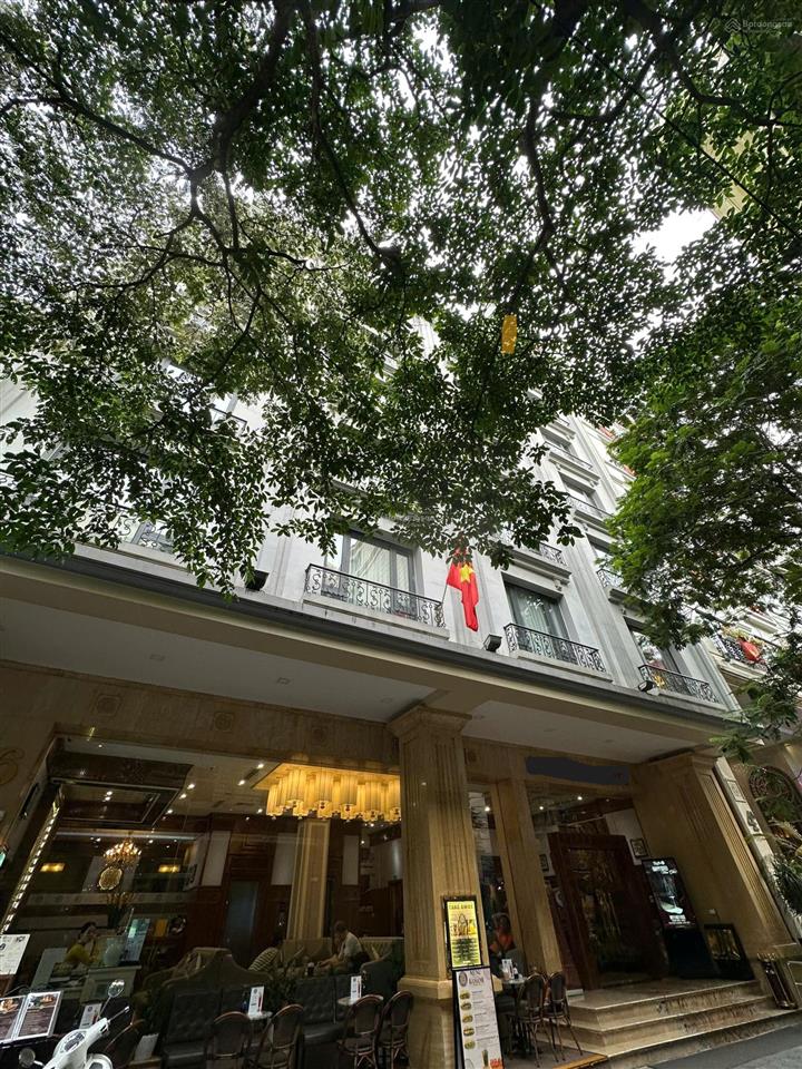 Bán tòa building mặt phố đào tấn  160m2  7m mặt tiền  6 tầng thang máy vỉa hè ô tô tránh 120 tỷ