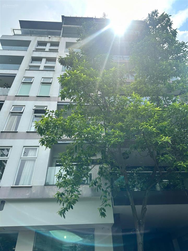 Siêu hiếm! nhà mặt phố quảng an  118 tỷ/ 118m2  9 tầng thang máy 1 hầm  10m mặt tiền kinh doanh