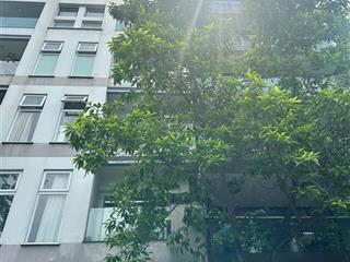 Siêu hiếm!! nhà mặt phố quảng an  118 tỷ/ 118m2  9 tầng thang máy 1 hầm  1om mặt tiền kinh doanh