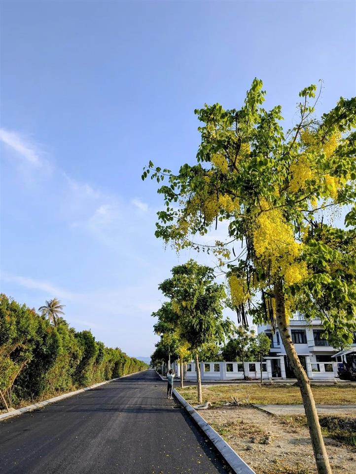 Mở bán dự án phúc gia tân ngay trung tâm thị trấn bồng sơn. giá gốc từ cđt, sồng hồng từ lô