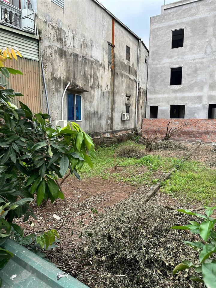 Chính chủ bán đất phượng đồng chương mỹ dt 86,5m², ô tô vào tận cửa, tiềm năng tăng giá mạnh