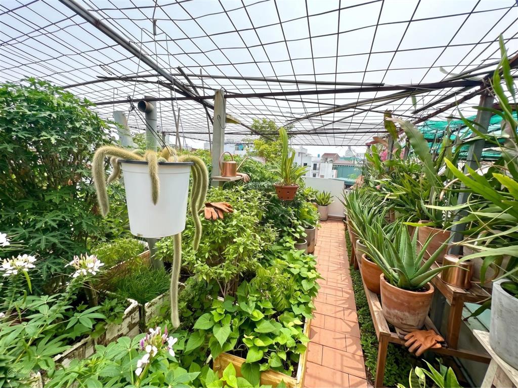 Cực hiếm ngô gia tự long biên, nhà 5 tầng kiên cố, ô tô đỗ cửa, chỉ hơn 100 triệu/m²