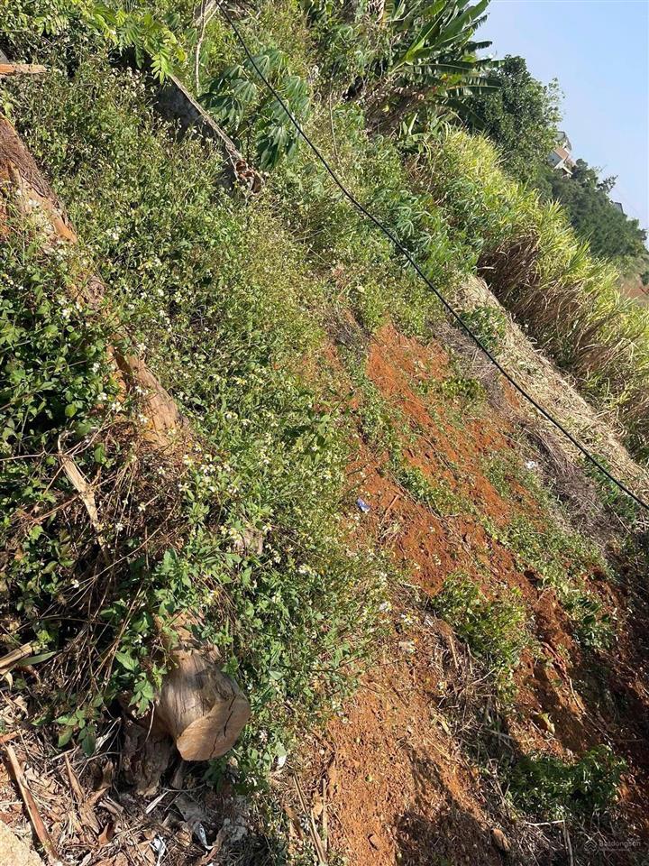 Bán 2 lô đất nền tổ 5 phường nghĩa trung , đối diện bệnh viện mới