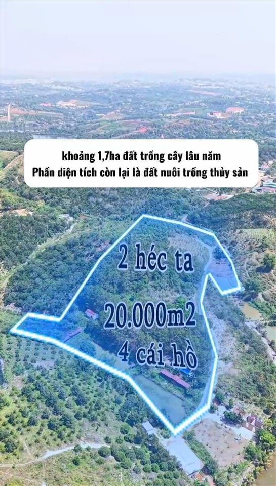 Lô đất đẹp ngay trung tâm tổ 6 phường nghĩa trung gia nghĩa