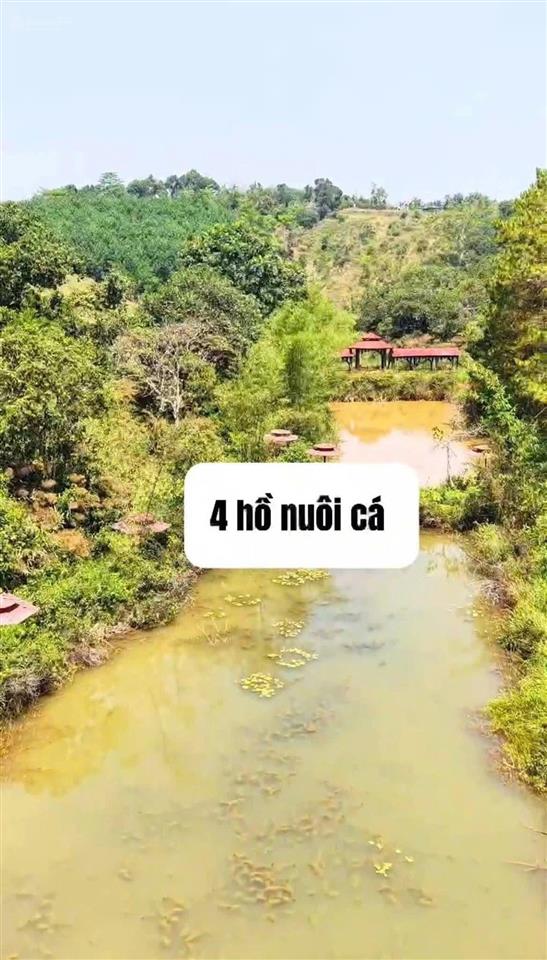 Lô đất đẹp ngay trung tâm tổ 6 phường nghĩa trung gia nghĩa