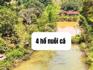 Lô đất đẹp ngay trung tâm tổ 6 phường nghĩa trung gia nghĩa