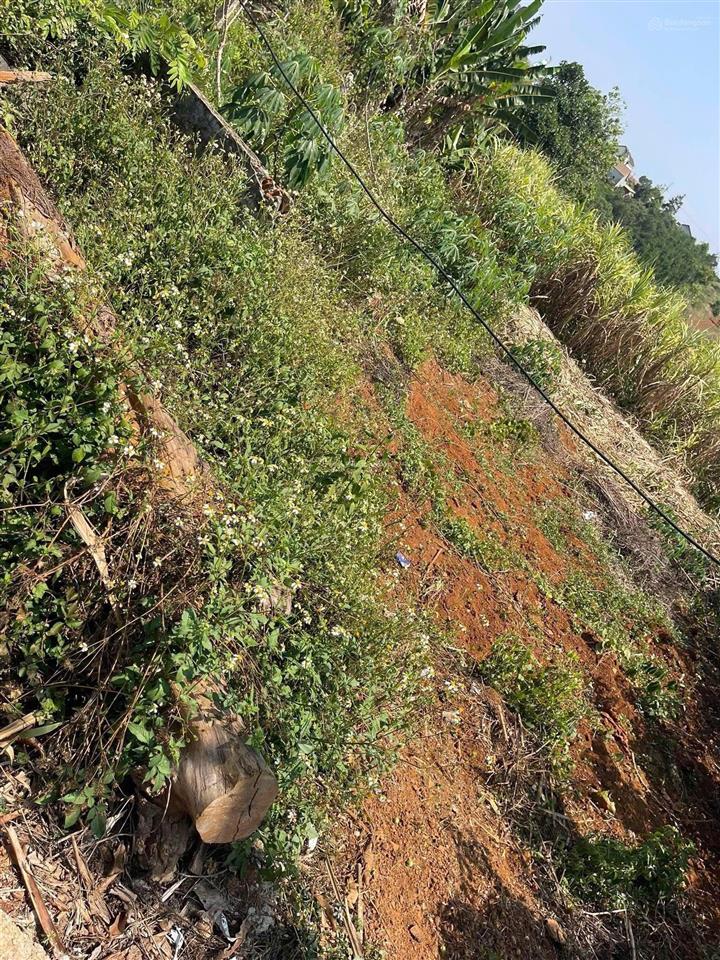 Cần bán lô đất giá tốt  gần bệnh viện mới