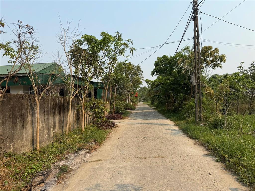 Bán đất tại ngõ đường nguyễn phi ỷ lan, nghệ an, 3,1 tỷ, 100 m2, uy tín, giá cực chất