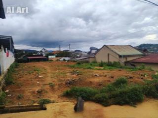 Bán đất biệt thự 376m2, ngang 12m mặt tiền đường 19/5, lạc dương, đà lạt lâm đồng