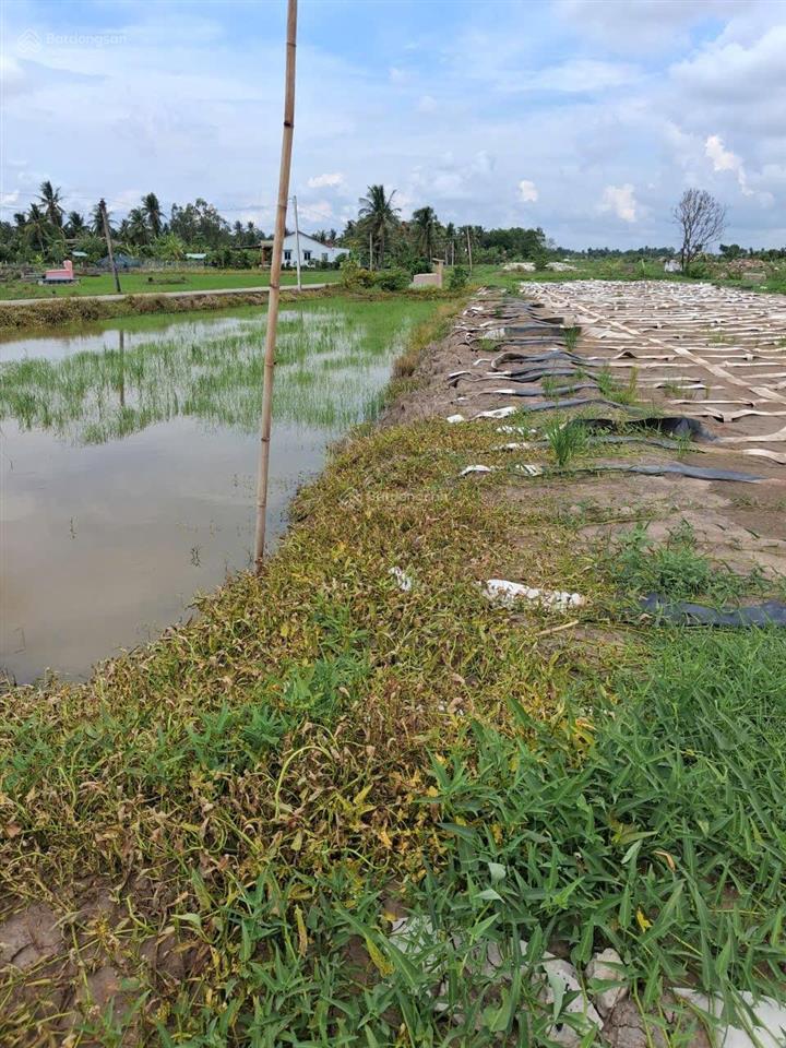 Bán đất mặt tiền đường lớn 827 đất full thổ cư