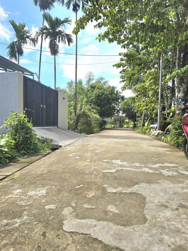 Đất đẹp yến nê hòa tiến | đường ô tô thông | cách đường nhựa 50m chỉ nhỉnh 1 tỷ .vị trí víp