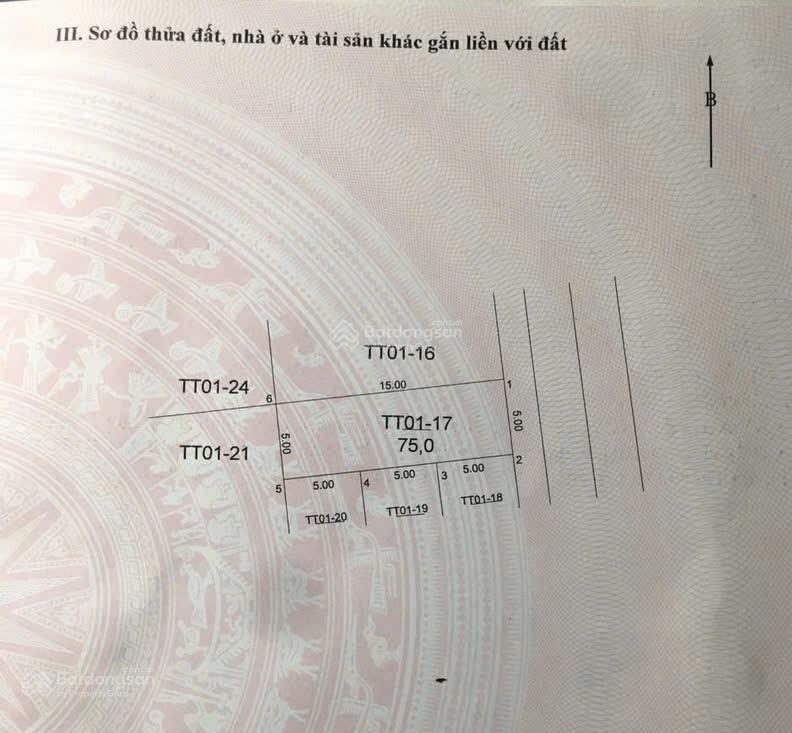 Siêu phẩm vip 75m, đg gốc quéo, thôn ngọc đình, xã dân hòa (hồng dương cũ), thanh oai. đấu giá gốc