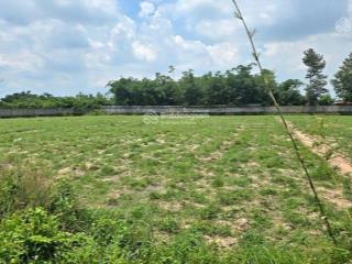 Gia đình em bán miếng đất 459m2, ngay cầu vượt củ chi, có shr, nở hậu tài lộc, giá chỉ 1.3 tỷ