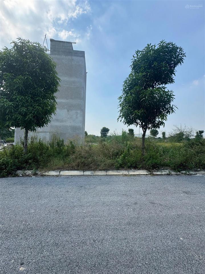 Bán đất tái định ngõ 250mphan trọng tuệ, thanh liệt, hà nội,đất phân lô vỉa hè rộng 50m giá 8,9 tỷ.