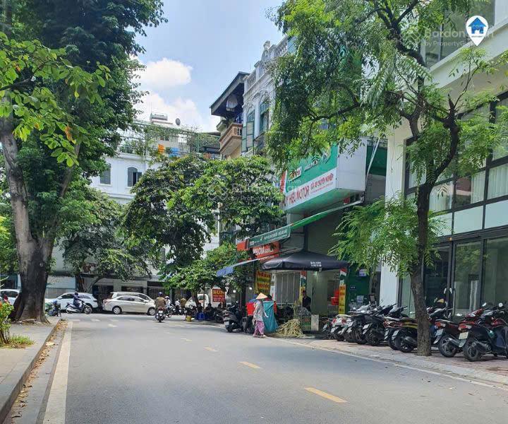 Chính chủ bán mảnh đất mặt phố phan kế bính, bưởi 112m, mặt tiền 6m, vỉa hè kinh doanh sầm uất