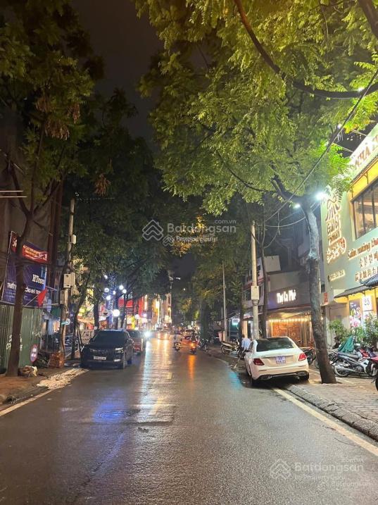 Chính chủ bán mảnh đất mặt phố phan kế bính, bưởi 112m, mặt tiền 6m, vỉa hè kinh doanh sầm uất