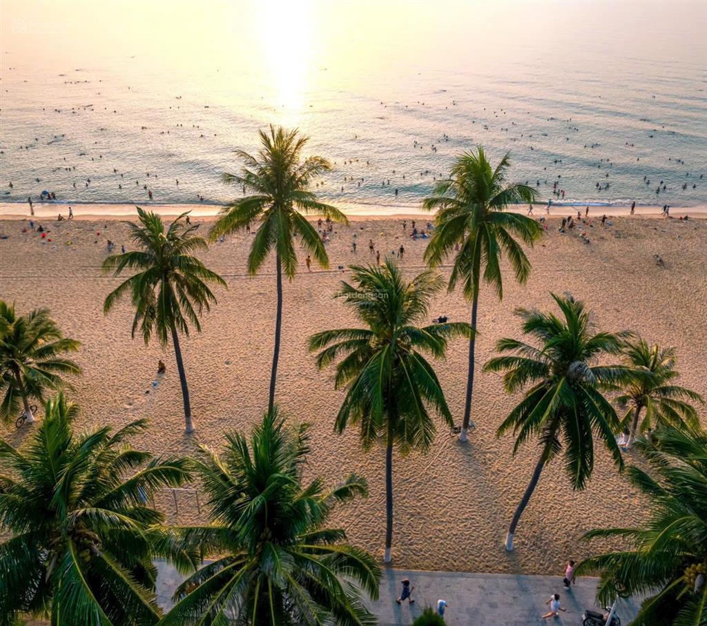 Lên 1 em hoa hậu siêu vip cho khách yêu ạ căn vip 3pn view trực diện biển dự án alora nha trang