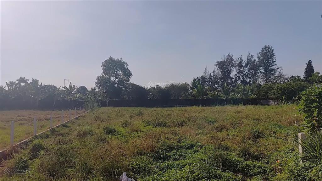 Bán đất lớn kế bên chợ bình chánh 2050m2 ngang khủng 32m nhỉnh 23 tỷ