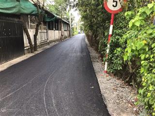 Đường 177 xã bình mỹ, củ chi chủ gửi bán lô đất vị trí đẹp, mặt tiền đường nhựa 177 hà duy phiên