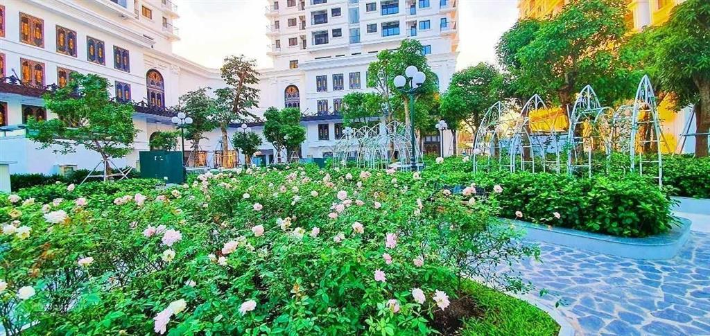 Chính chủ bán gấp căn hộ 2pn giá tốt nhất iris garden, tầng trung nhỉnh 6tỷ. ko ảo.  094668959ba