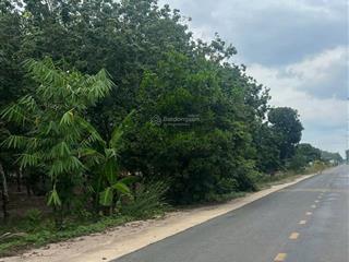 Quỹ đất vàng mt dt651e thôn xuân ninh, xuân sơn 7.469,6m² ngang 82,8m hiếm, giá 53 tỷ