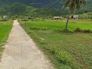 Bán đất thôn xuân thọ xuân sơn | 5.218,5m² ngang 53m, đường bê tông 4m, giá 2,5tr/m²