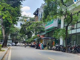 Bán mảnh đất mặt phố phan kế bính 240m, mặt tiền 14m, vỉa hè kinh doanh sầm uất, nhỉnh 80 tỷ.