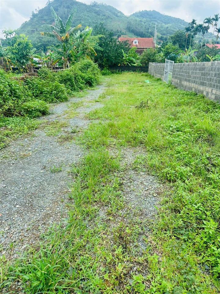 Chính chủ. bán 1007m2, 3 mặt tiền, đường trước đất 7m2. đã có sổ đỏ. qh đất ở. lên full thổ cư được