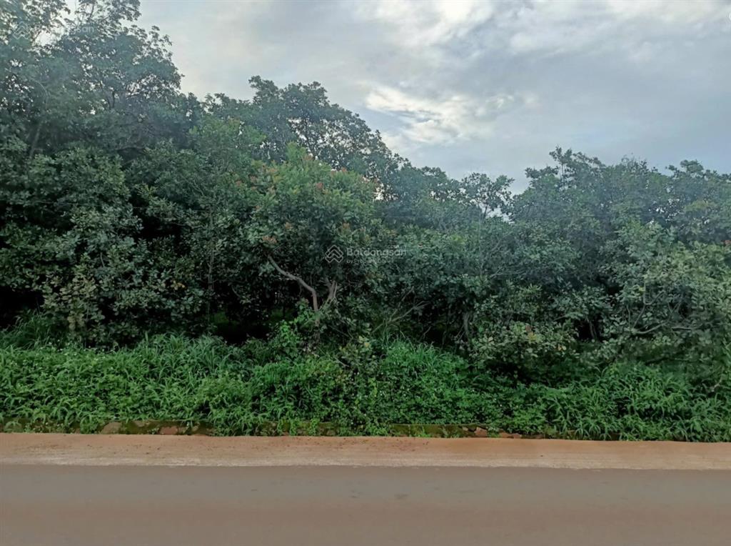 Bán đất đẹp tại đt 755, đoàn kết, bù đăng, giá siêu hời 36 tỷ, 30000 m2