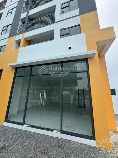 Cho thuê shophouse tại evergreen bắc giang, giá cực chất 10 triệu, 50 m2