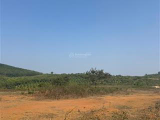 Bán đất xã minh hưng, huyện bù đăng, 13,5 tỷ, 45000 m2, giá siêu hời