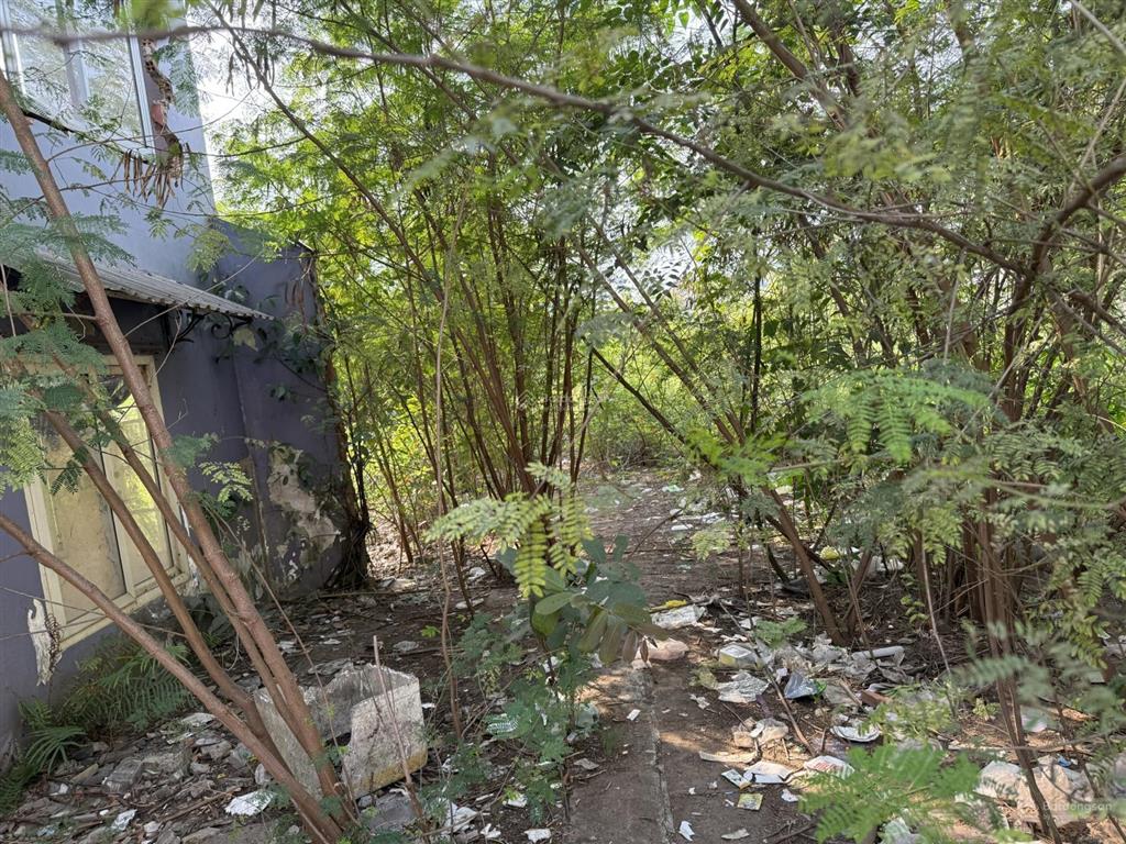 Bán đất mặt tiền tại nguyễn duy trinh, 194 tỷ, 1865.4m2, giá siêu hời hot