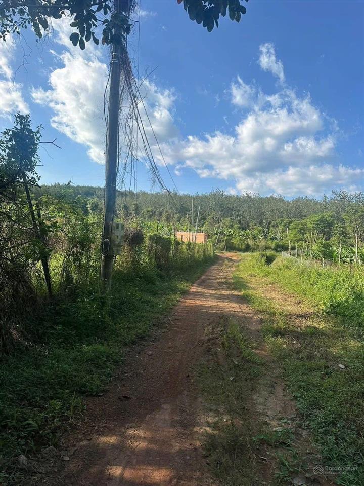 Bán đất tại thôn 1, đoàn kết, huyện bù đăng, 6,2 tỷ, 7584 m2